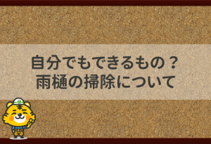 自分でもできるもの？雨樋の掃除について